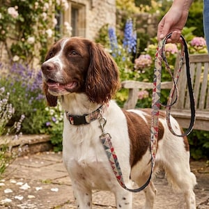 Może przedstawiać: Brązowo-biały spaniel w obroży we wzory z czarną plastikową klamrą oraz pasującej smyczy. Obroża i smycz mają geometryczny wzór w odcieniach czerwieni, błękitu i beżu, wykończone srebrnym metalowym karabińczykiem obrotowym.