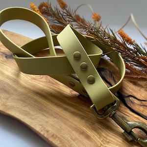 Olive green vegan dog lead, matching collar available
