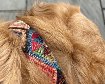 May include: Close-up of a golden retriever dog wearing a colourful patterned fabric collar.