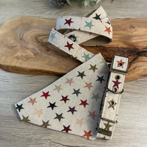Pu&ograve; includere: Un collare per cani beige e una bandana abbinata con un motivo a stelle multicolori. Il collare ha una fibbia e un anello a D in ottone. La bandana &egrave; di forma triangolare.