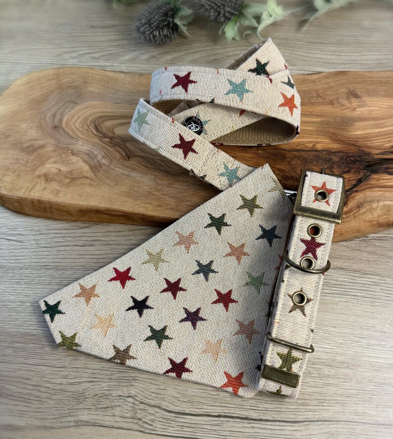 Pu&ograve; includere: Un collare per cani beige e una bandana abbinata con un motivo a stelle multicolori. Il collare ha una fibbia e un anello a D in ottone. La bandana &egrave; di forma triangolare.