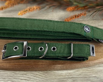 Collar de perro de pana verde, hebilla de cinturón, plata, latón antiguo, negro