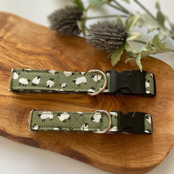 Sheep dog collar, green, white