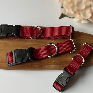 Collar para perro rojo/burdeos, San Valentín