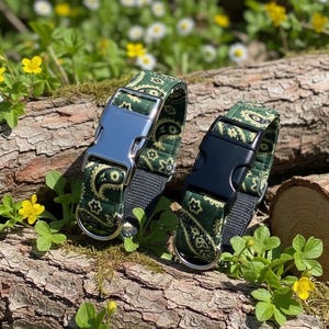 Handmade Green Paisley Dog Collar and Leash Set, Corduroy Bohemian Pet Accessories