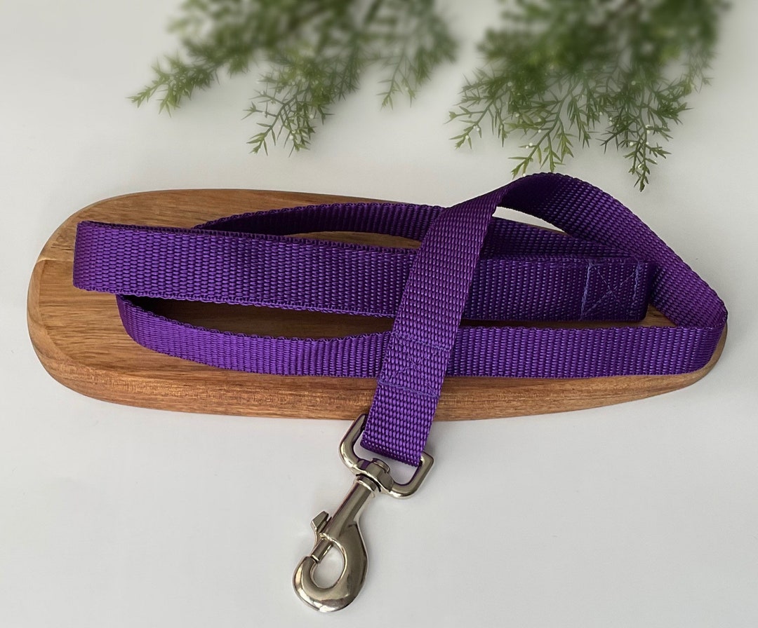 Purple Dog Lead, Padded Handle Etsy