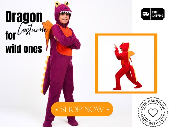Boys outlet dragon costume