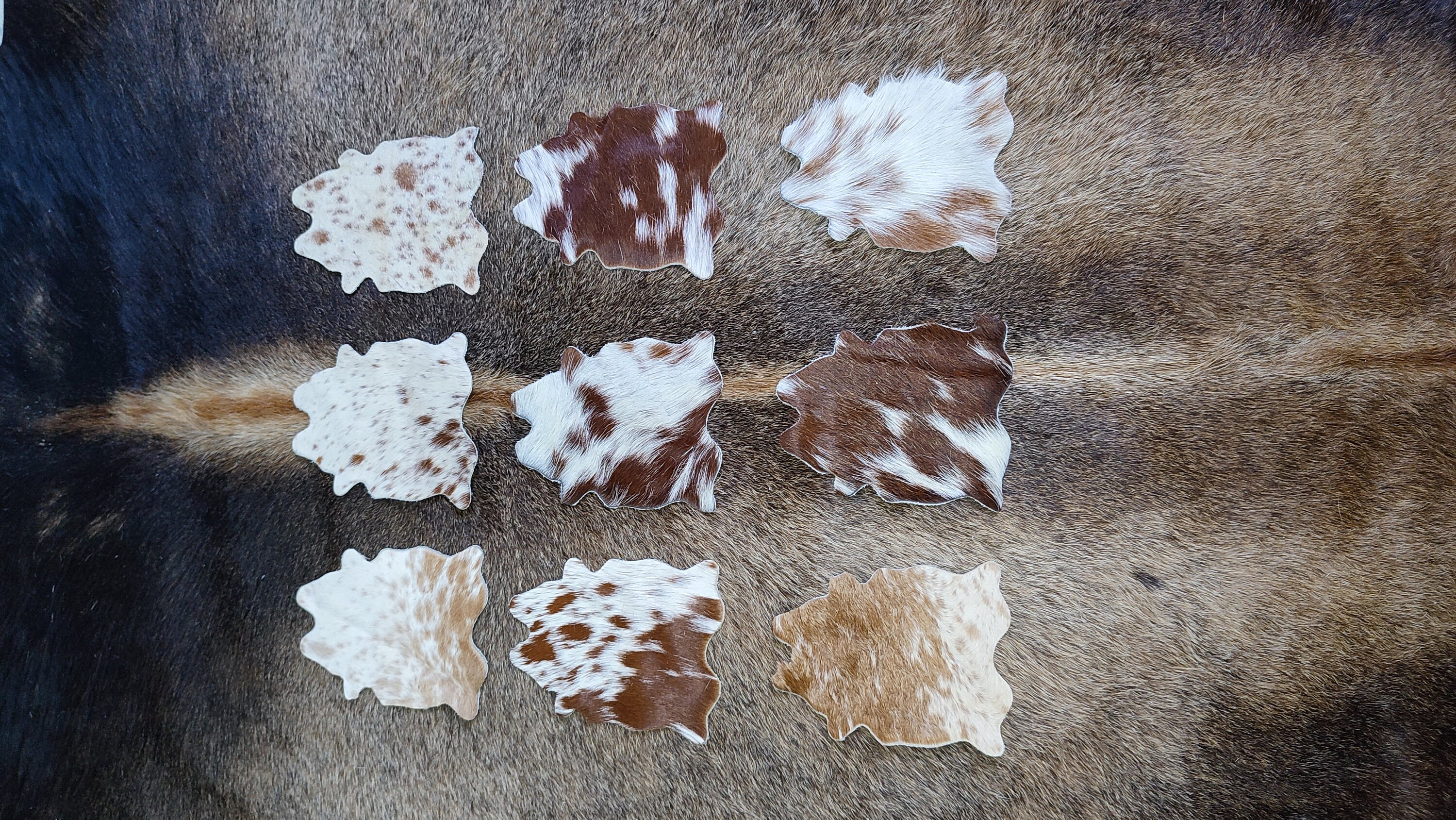 Cowhide Coasters Real Cowhide Coaster Brown and White Cowhide Etsy