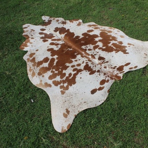 May include: A brown and white cowhide rug with a natural, irregular shape. The hide has a white background with brown spots of varying sizes.