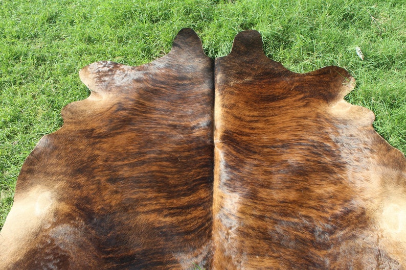 K&ouml;nnte beinhalten: Ein brauner und wei&szlig;er Kuhfellteppich mit einem nat&uuml;rlichen, gefleckten Muster. Die Haut ist in der Mitte gefaltet und zeigt die Textur und Farbabweichungen.