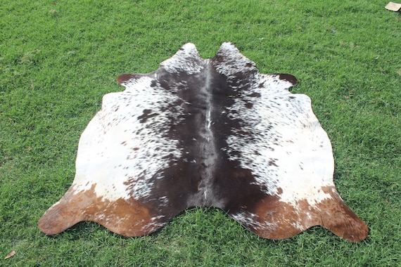Tricolor Cow Hide Rug Hair on Cow Hide Rug Real Cowhide Rug 5 x 5 Hair on Cow Hide