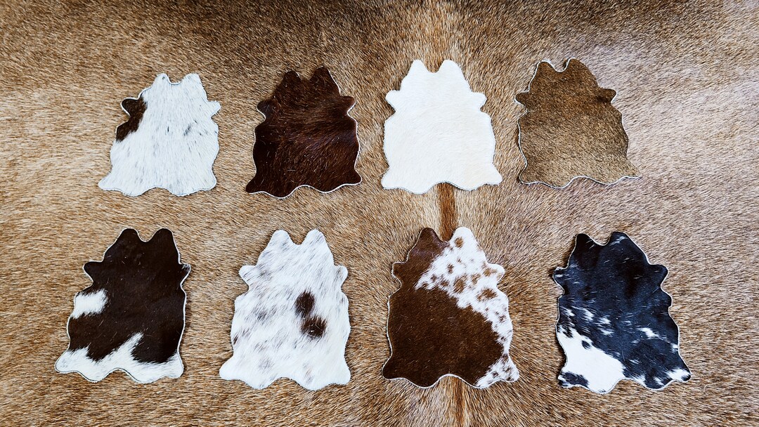 Mix Cowhide Coasters Real Cowhide Coaster Assorted Cowhide Coasters