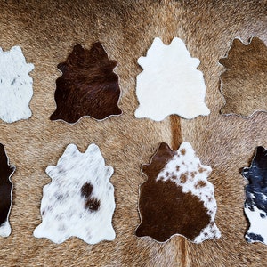 Mini Cowhide Coasters Assorted Cowhide Coasters Real Cowhide Coasters Wedding Favors Party Favors Wedding Favors For Guests
