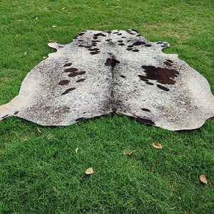 Large Tricolor Cowhide Rug Large Cow Hide Rug 6 x 6 Hair on Hide Rug image 18