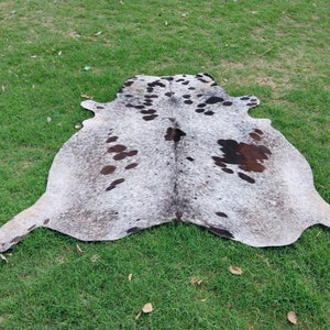Large Tricolor Cowhide Rug Large Cow Hide Rug 6 x 6 Hair on Hide Rug image 12