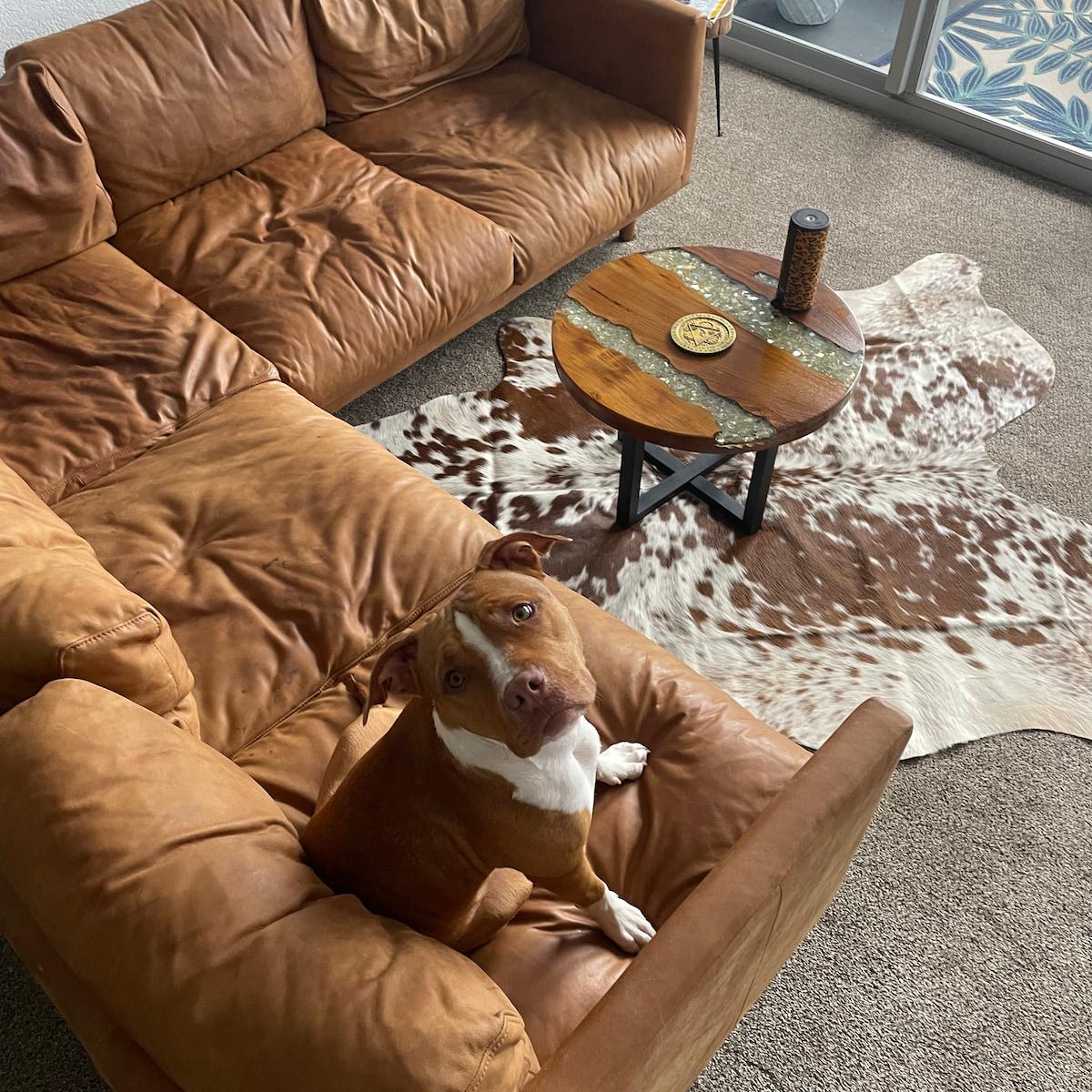 本物の牛革ラグ ブラウンとホワイトの牛革ラグ 毛付き牛革ラグ 本物の