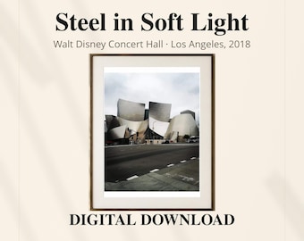 Walt Disney Concert Hall Photo, Los Angeles Architecture Wall Art, 2018 Photography Download, 3 Print Sizes