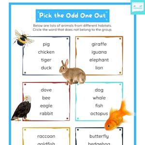 Pick the Odd Animal Out Worksheet for kids