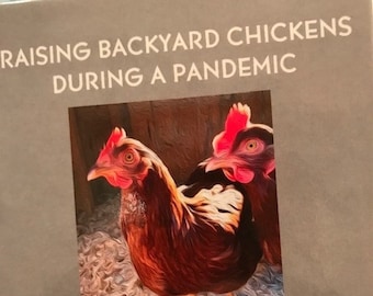 Raising Backyard Chickens During a Pandemic