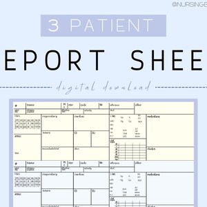 3 Patient Nurse Report Sheet