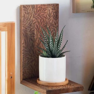 Handgefertigtes Pflanzenregal aus Holz - Hängepflanzenampel & Sukkulentenregal, Boho Floating Shelf für Zimmerpflanzen