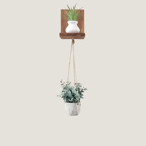 Hängendes Pflanzenregal aus Holz - Sukkulenten Display & Wanddekoration, Boho Floating Shelf für Zimmerpflanzen