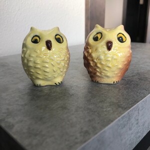 Catalina Owls Salt and Pepper Shakers