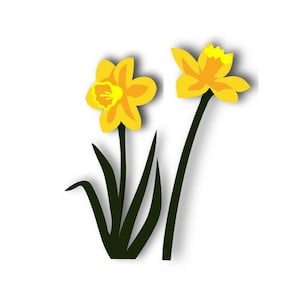 Layered Narzisse SVG, digitale Schneidedatei, Floral, jpg dxf eps pdf png, schneiden, Kartenherstellung, scrapbooking