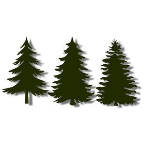 Pin SVG, sapin de Douglas, épicéa, fichier découpé, paquet d'arbres, nature, forêt, feuilles persistantes, PNG JPG et 3 autres fichiers