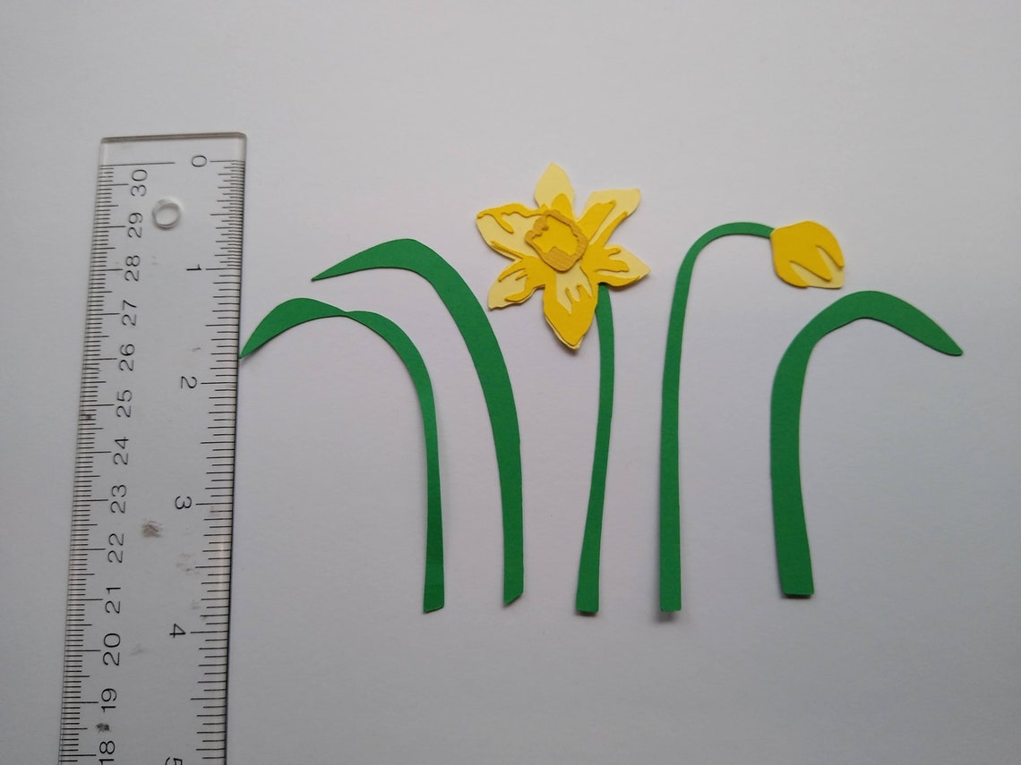 Layered Daffodil SVG, Floral, Spring, Digital Cutting File, Die Cutting