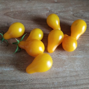 Puede incluir: Un grupo de siete tomates amarillos en forma de pera sobre una superficie de madera.