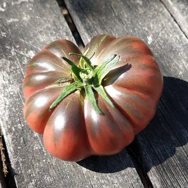 Graines de tomate Purple Calabash