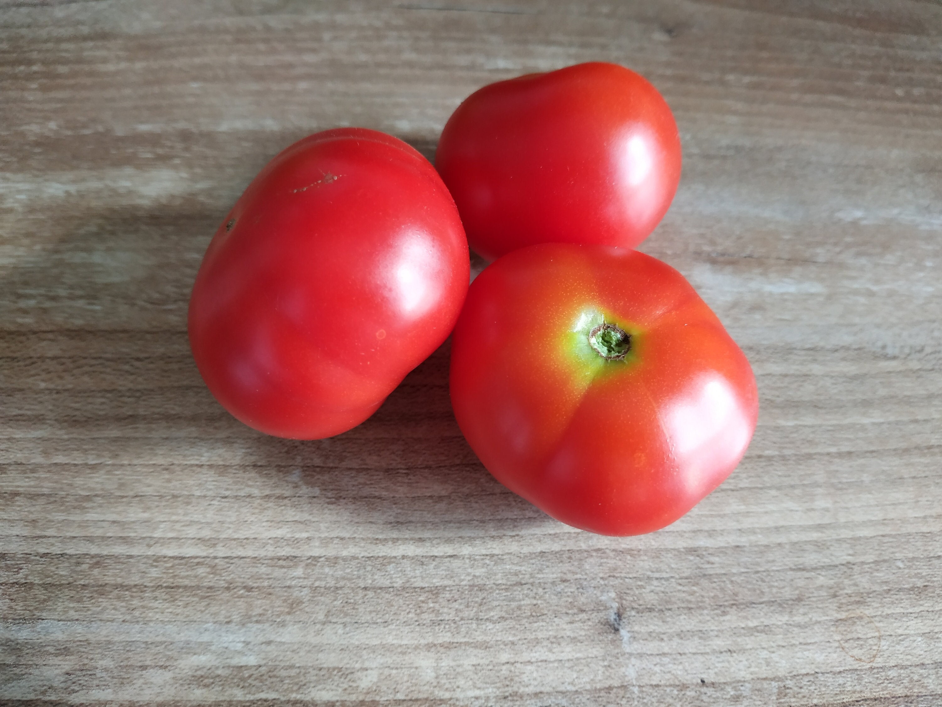 Graines de Tomate Sacha Altai