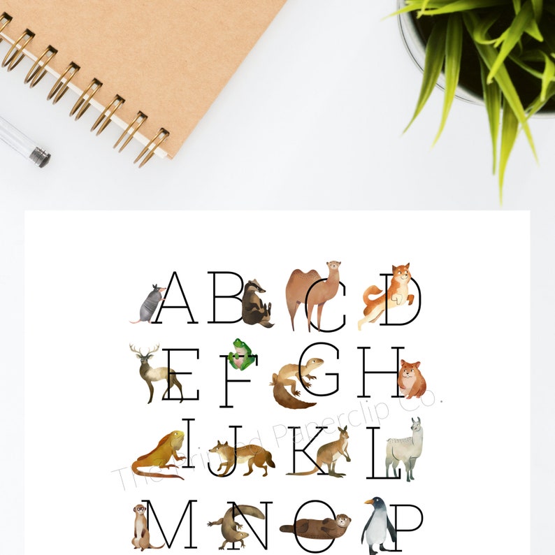 Watercolor Animal Alphabet Wall Art Alphabet Nursery Decor Etsy