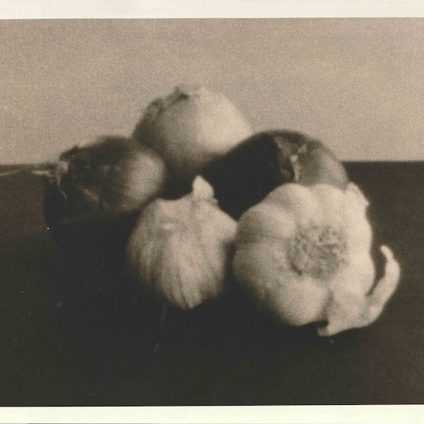 Garlic and onions (pinhole photo)