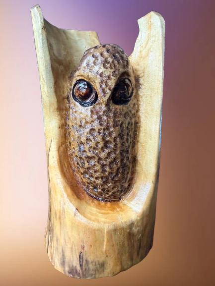 Hand carved Owl from Spalted Birch