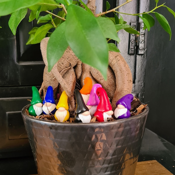 Gonklings / Gonks / Gnomes - Accessories for your plants! Houseplant Gift for Plant lovers
