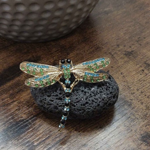 Beautiful Dragonfly Pin with Velvet Pocket, 2" X 2.75"