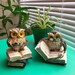 Set of 2, Beautiful Owl Figurines, Home Decor, 3*4 inches, Perfect for Owl Lovers 