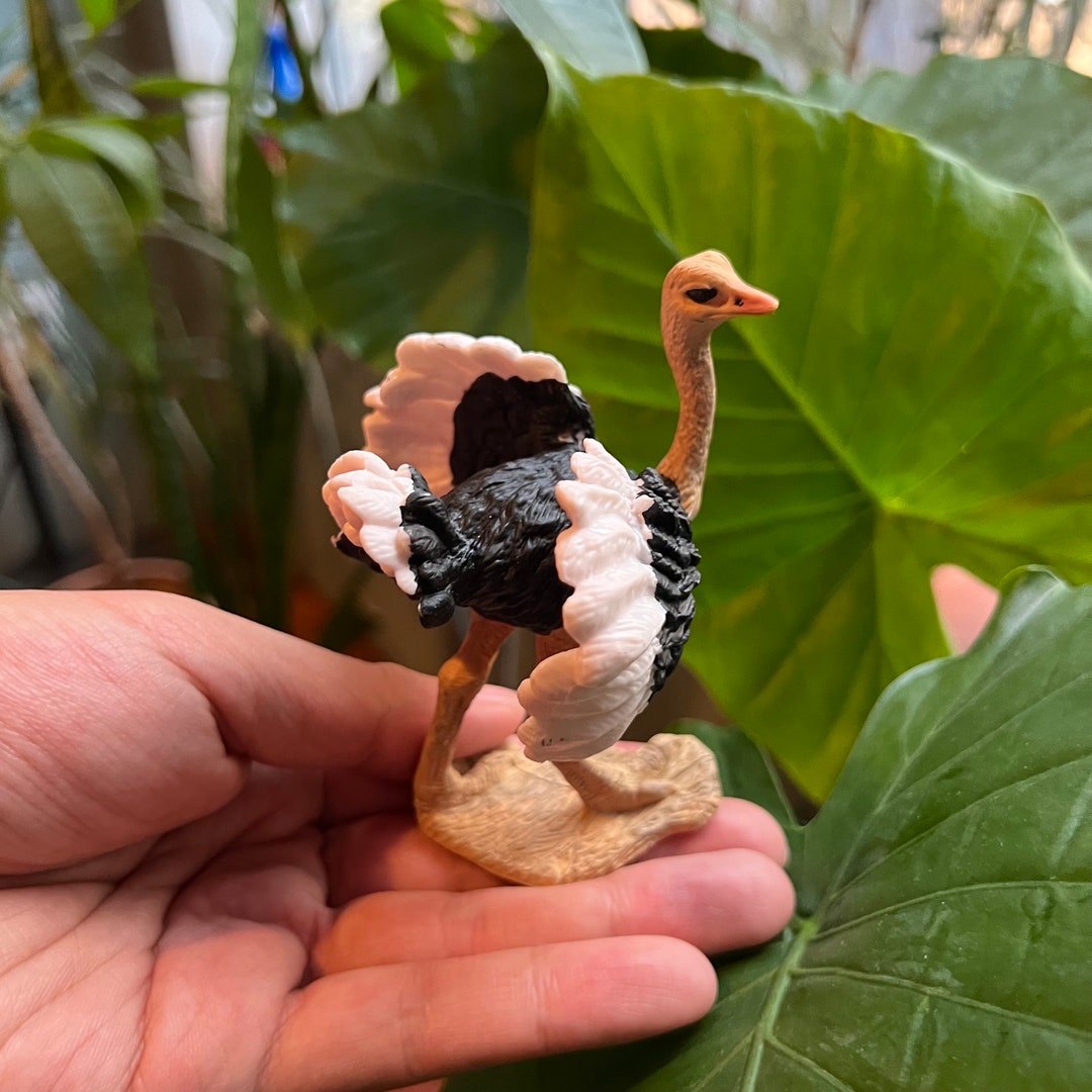 Ostrich Figurine, Ostrich Figure, Ostrich Miniature, Knick Knack 3.534