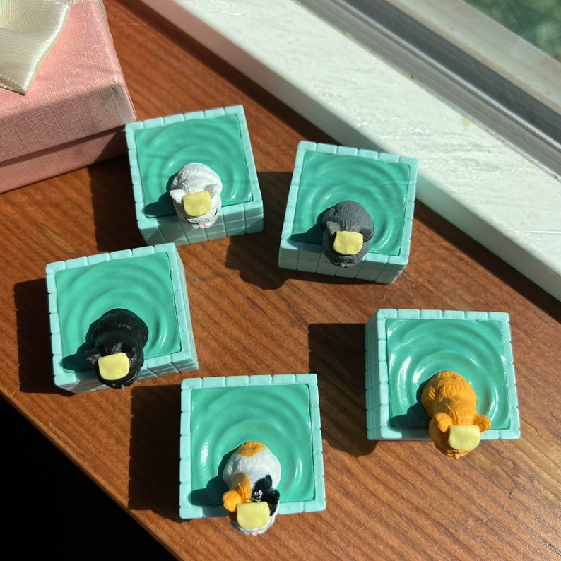 May include: Five miniature ceramic cat figurines in a swimming pool pose. Each cat is wearing a different colored bathing cap. The cats are white, black, orange, calico, and black and white. The figurines are sitting on a wooden surface.
