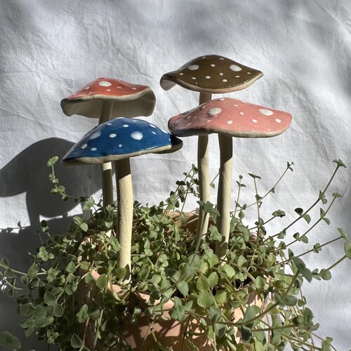 Mushrooms, Ceramic