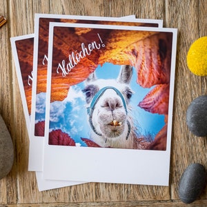 Lustige Postkarte "Hallöchen" mit neugierigem Lama | Herbstliche Grußkarte | Alpaka für gute Laune | Bauernhof Zahnarzt Hallo | Nr. 156