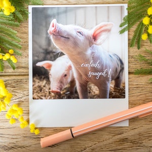 Freche Postkarte "...einfach saugeil!" mit süßem Ferkel | Fotokarte im Polaroid Stil Schwein Bauernhof |  Gratulation Jubiläum | Nr. 170