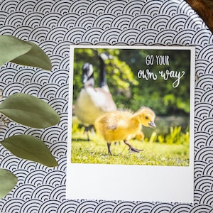Süße Postkarte mit Küken und Handlettering "Go your own Way" | Fotografie im Polaroid Stil | Frühling, Baby, Abitur, Schulabschluss |Nr. 142