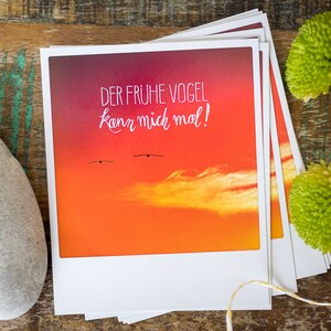 Lustige Postkarte mit "Der frühe Vogel kann mich mal" Handlettering | Karte im Polaroid Stil mit Möwen im Sonnenuntergang und Wolke |Nr. 113