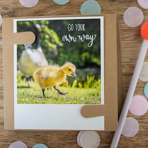 Süße Grußkarte mit Küken und Handlettering "Go your own Way" auf Postkarte im Polaroid Stil | Frühlingsgefühle, Baby & Natur | Nr. 2142