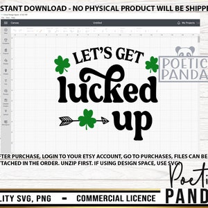 rude st patricks day pics
