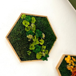 Moss hexagon with flowers oiled frame hexagonal moss honeycomb with preserved moss moss picture hydrangeas