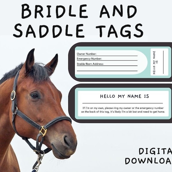 Horse Gift Tag 60+ Gift Ideas for 2024